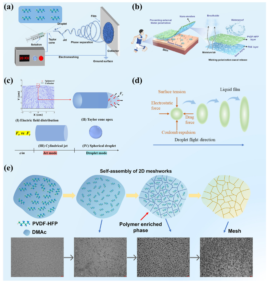 北京科技大学王宁教授&曹霞教授AM：仿生Janus蜘蛛网纳米纤维膜，用于多功能可穿戴设备